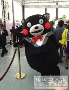 日本萌熊走向世界 身穿燕尾服亮相戛纳电影节