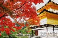 日本旅游 大觉寺介绍