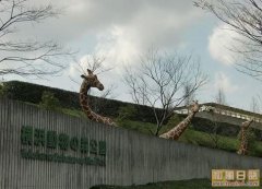 横滨ZOORASIA动物园