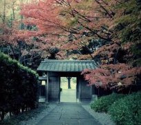 日本文化丨日本文化中的“禅”境