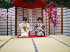 怎么更好的理解日本文化？
